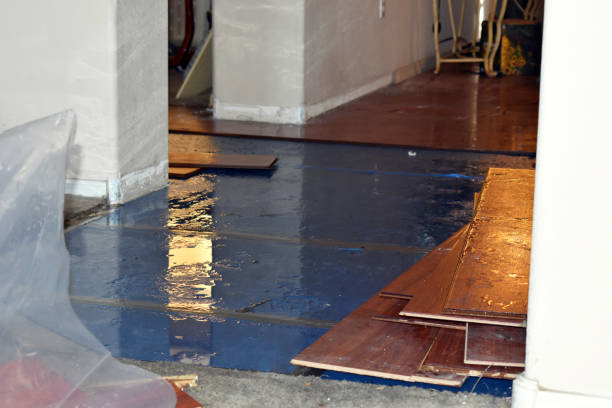 Professional Basement Flood Cleanup technician working in Reads Landing, MN